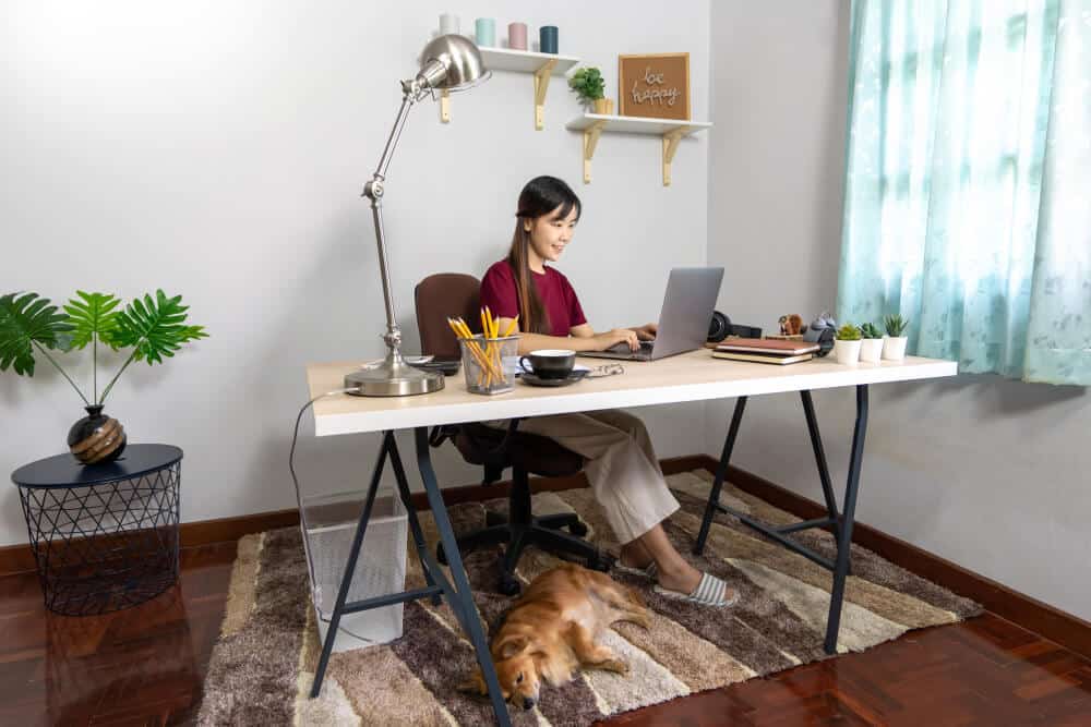 People working from home